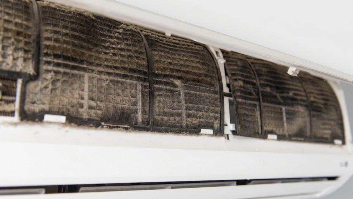 Dirty mini split with clogged, mold-covered evaporator coils before professional cleaning